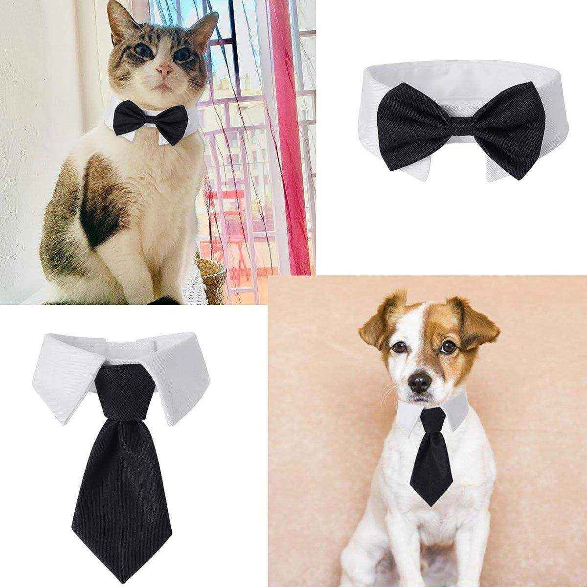 Designer Dog Collars & Designer Cat Collar Set Bow Tie and Necktie Design