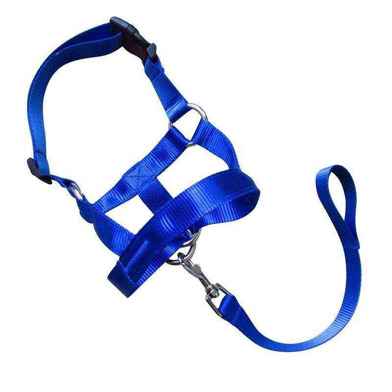Adjustable Dog Muzzle Head Halter for Anti-Pull Training & Control