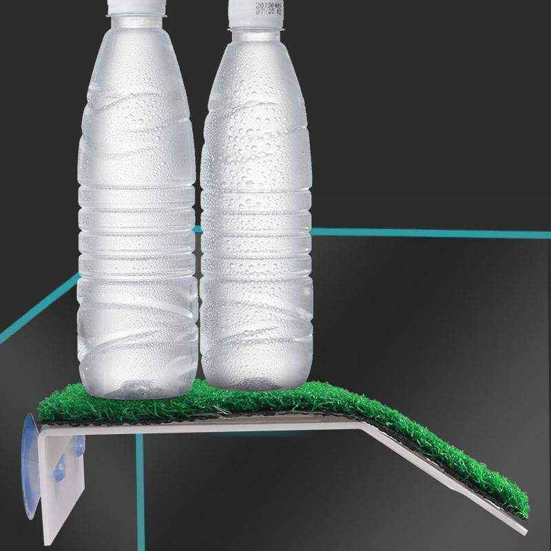 Turtle Reptile Climbing Platform S/M/L