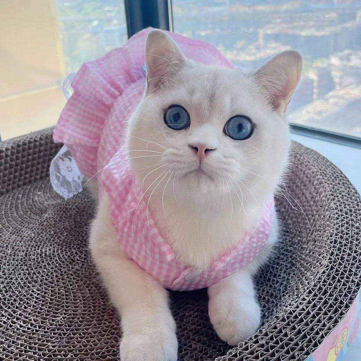 Cute Small Dog Dress Puppy Clothing Pet Apparel Fashion Outfit