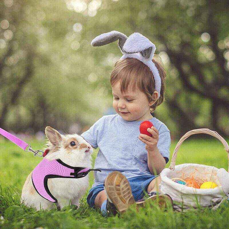Adjustable Mesh Rabbit Harness with Leash for Small Pets