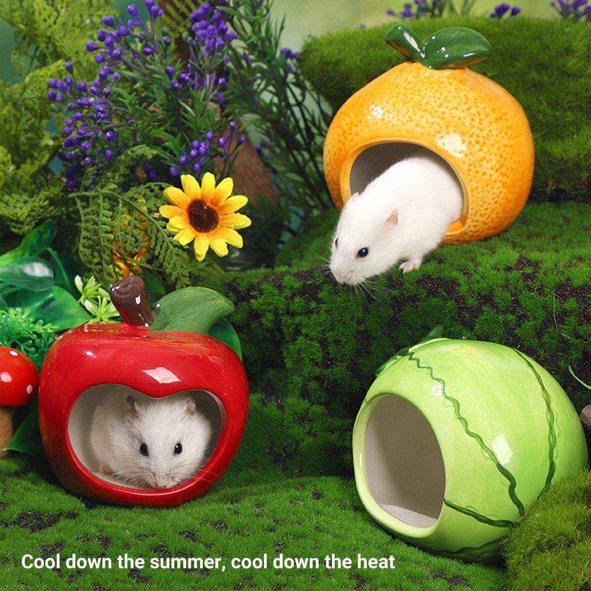 Ceramic Hamster Nest Shelter Landscaping Supplies Small Animal Hideout House