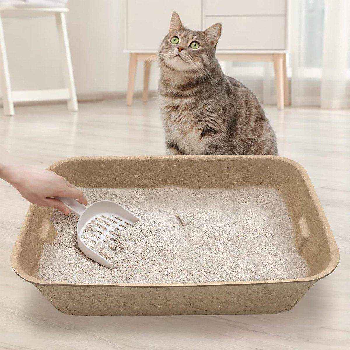 Eco-Friendly Disposable Cat Litter Trays Biodegradable Travel Solution