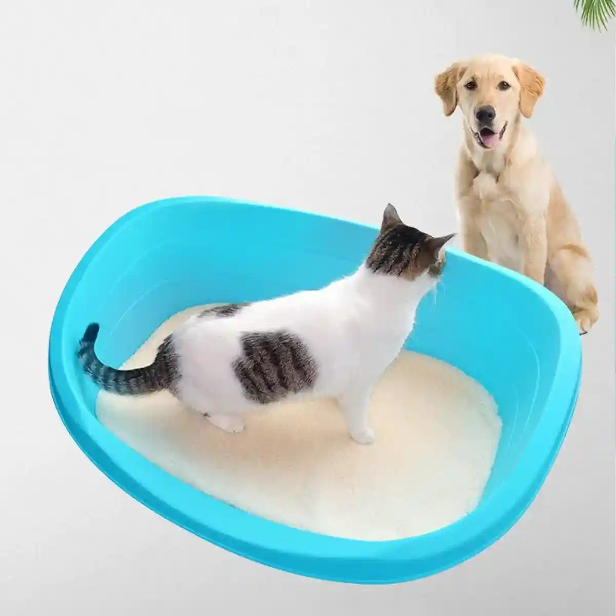 Multi-Purpose Pet Kennel Dog & Cat House with Cotton Pad
