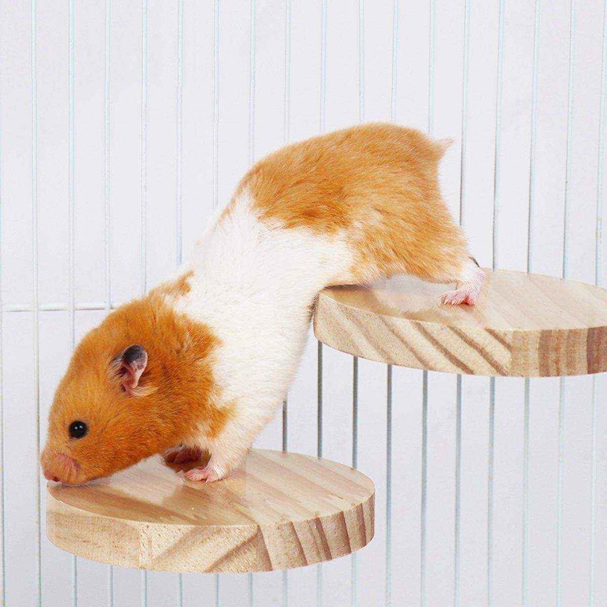 Natural Wooden Pet Platform Set – 5 Styles for Hamster Cage Customization