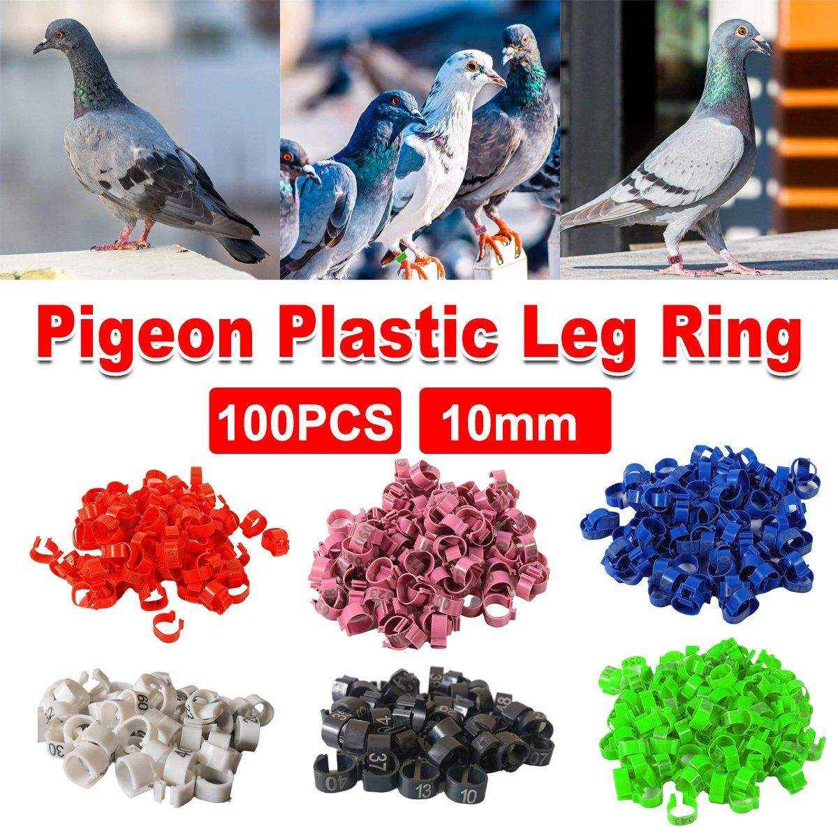 100 Numbered Bird Leg Bands for Poultry
