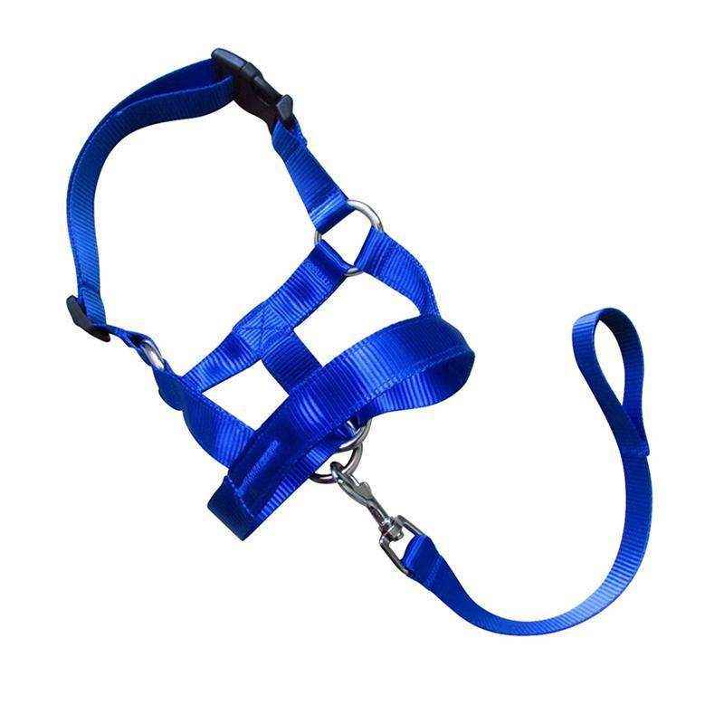 Adjustable Dog Muzzle Head Halter for Anti-Pull Training & Control