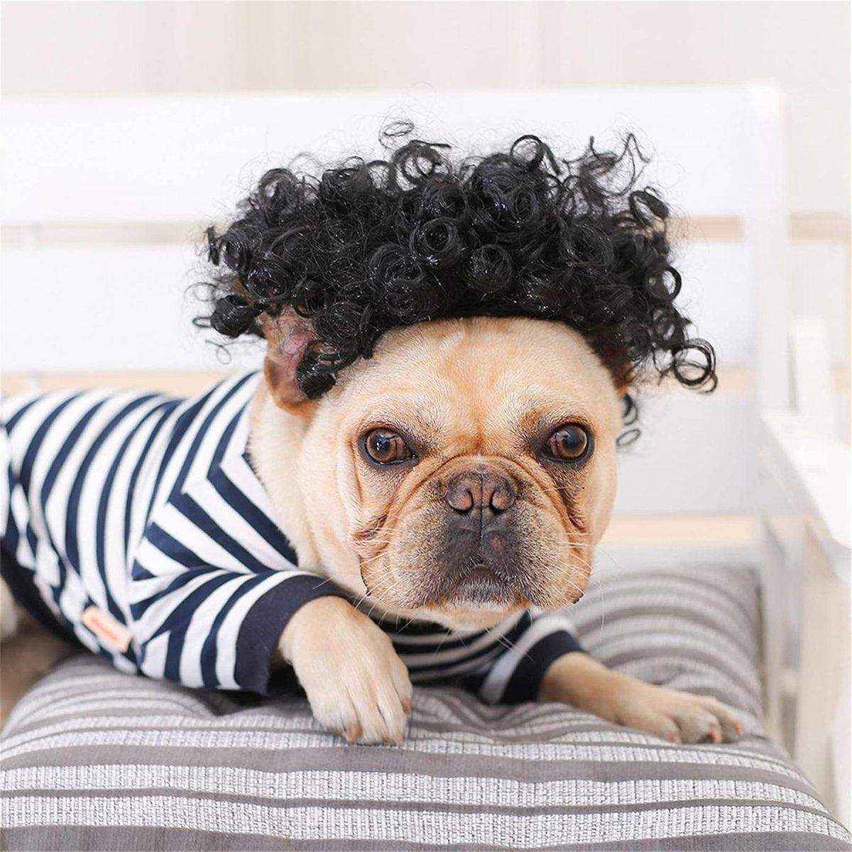 Stylish Funny Pet Wig With Bangs Fun and Comfortable