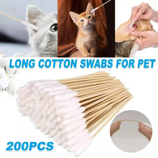 Cat Ear Cleaning With A Cotton Swab Reference: Pet Ear Cleaning Cotton Swabs Large Bamboo Cotton Buds For