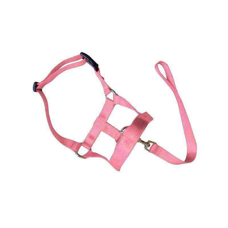 Adjustable Dog Muzzle Head Halter for Anti-Pull Training & Control