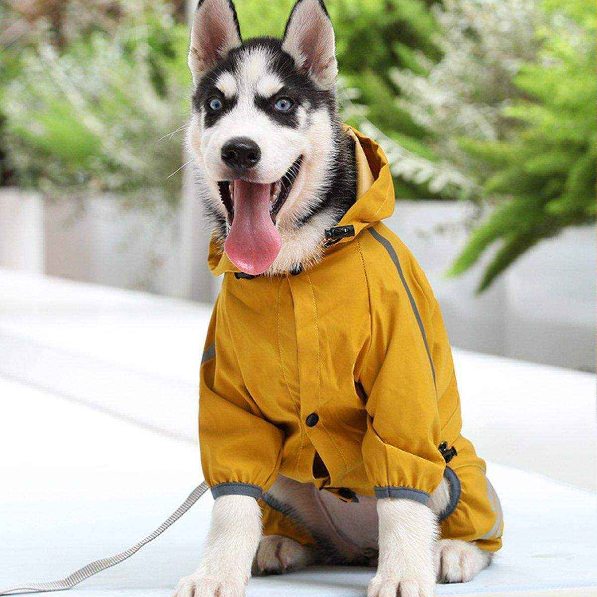 Waterproof Dog Raincoat for Small Medium Dogs
