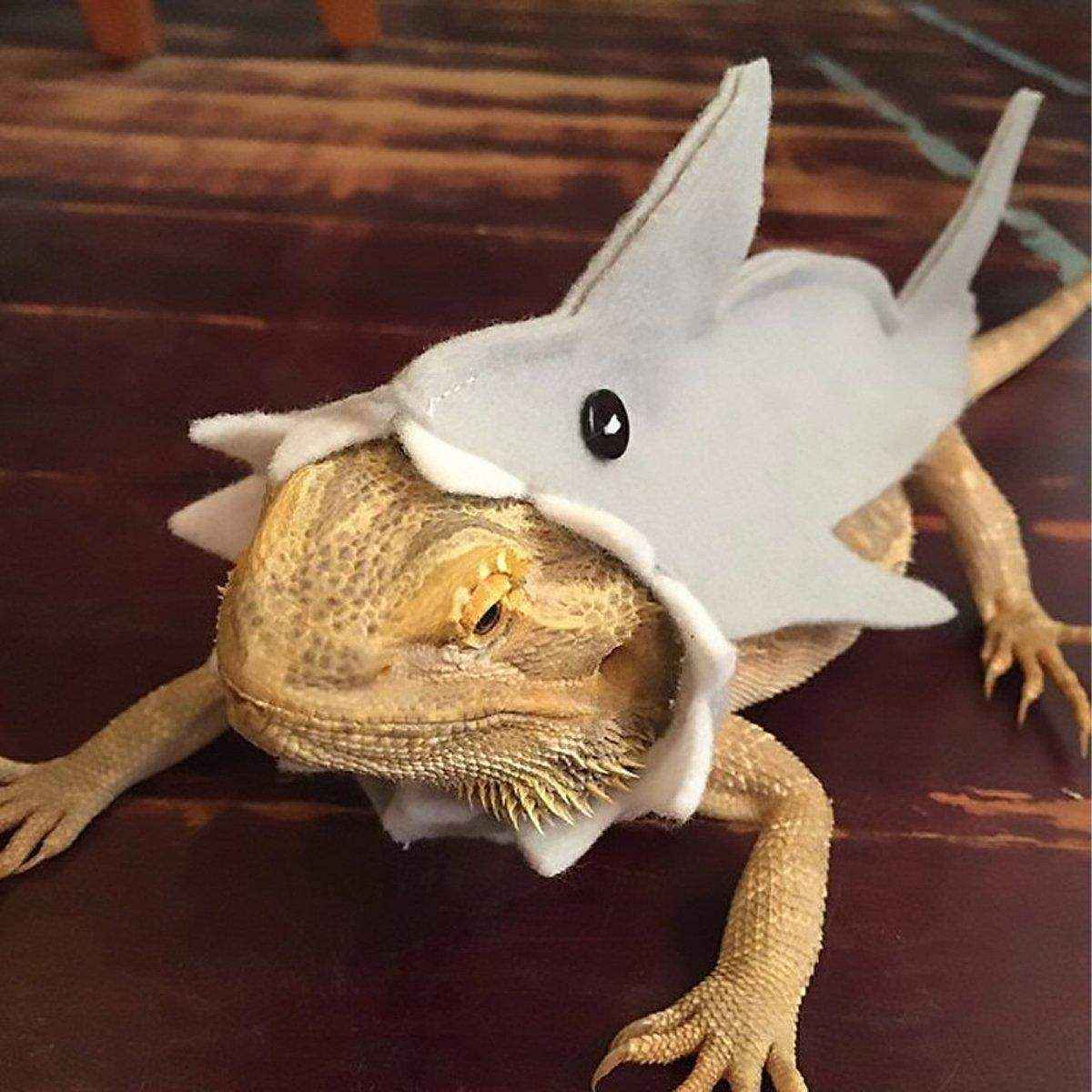 Lizard Shark Costume for Small Pets Adorable Reptile Outfit for Halloween Party