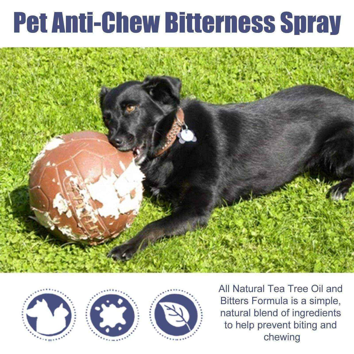 Pet Bitter Anti-Bite Spray Expulsion Dog Chewing Table And Chair Leg Scratching Sofa Spray