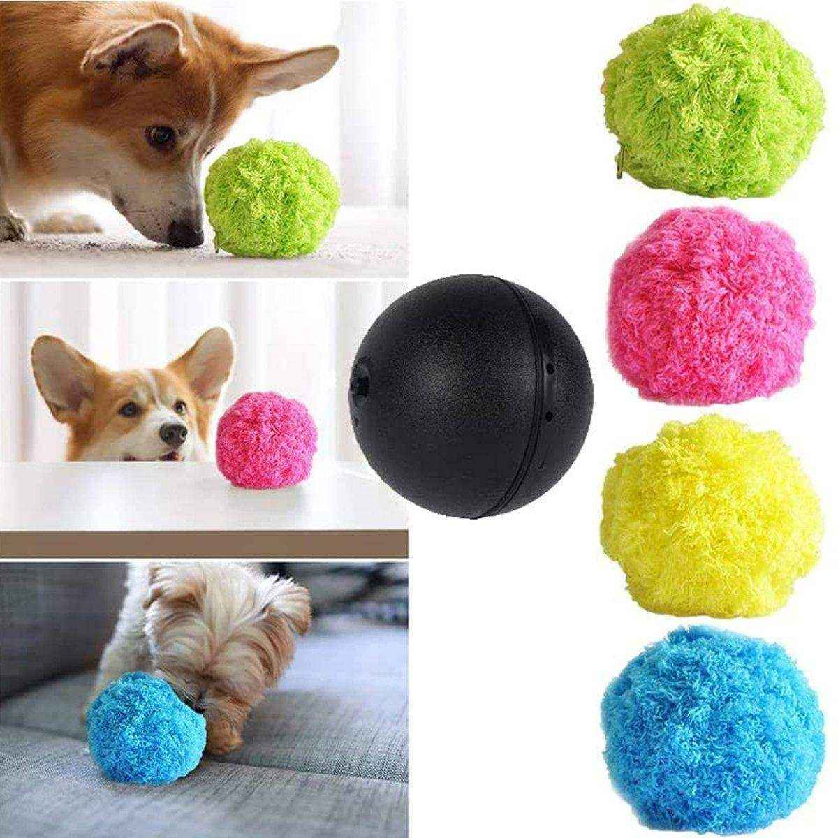 Interactive Pet Magic Roller Ball Toy Keeps Your Pets Engaged