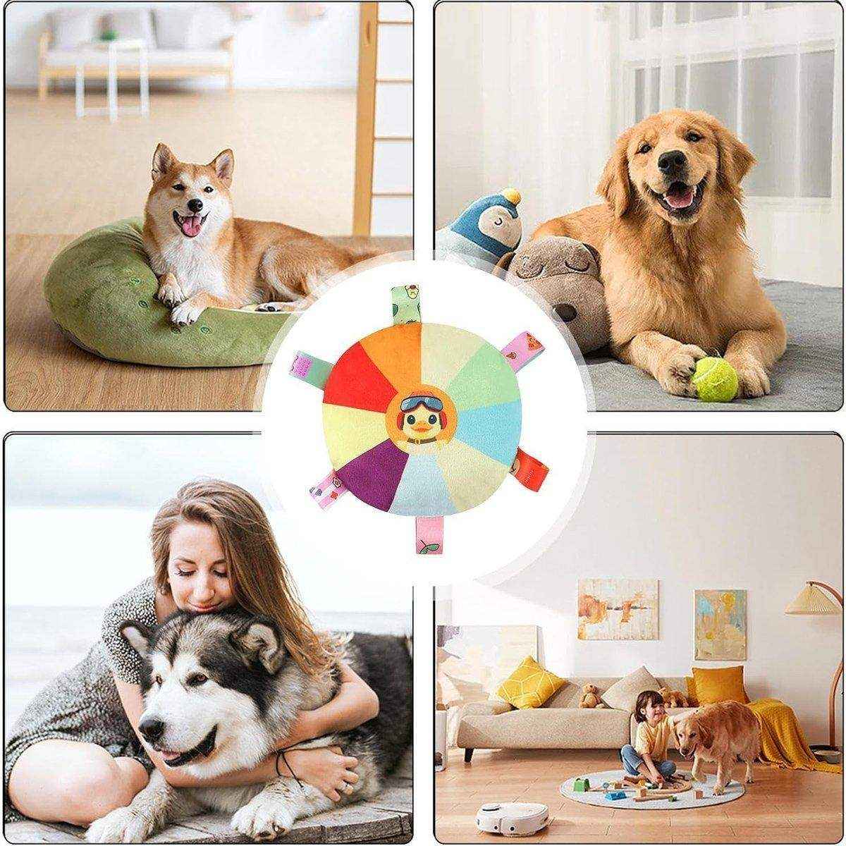 Dog Frisbee Toy Plush Voice Interactive Puppy Frisbee Molar Bite Resistant Pet Side Animal Husbandry Training Special For Dog Training