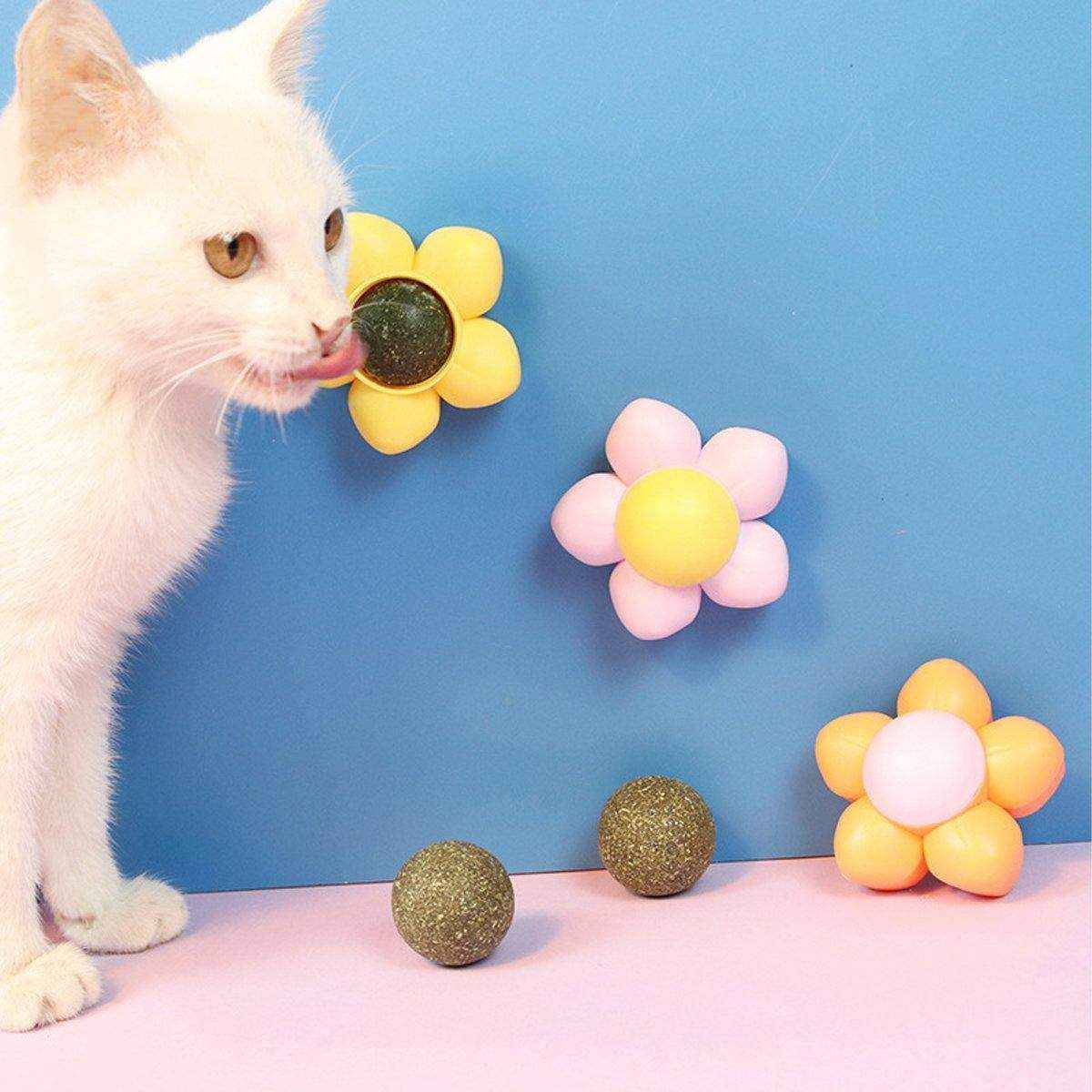 Catnip Ball Cat Toy Rotating Mint Ball Toy