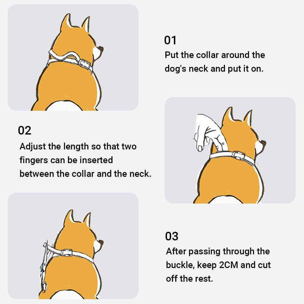 Cartoon Designer Pet Collars Essential Oils for Dogs & Cats