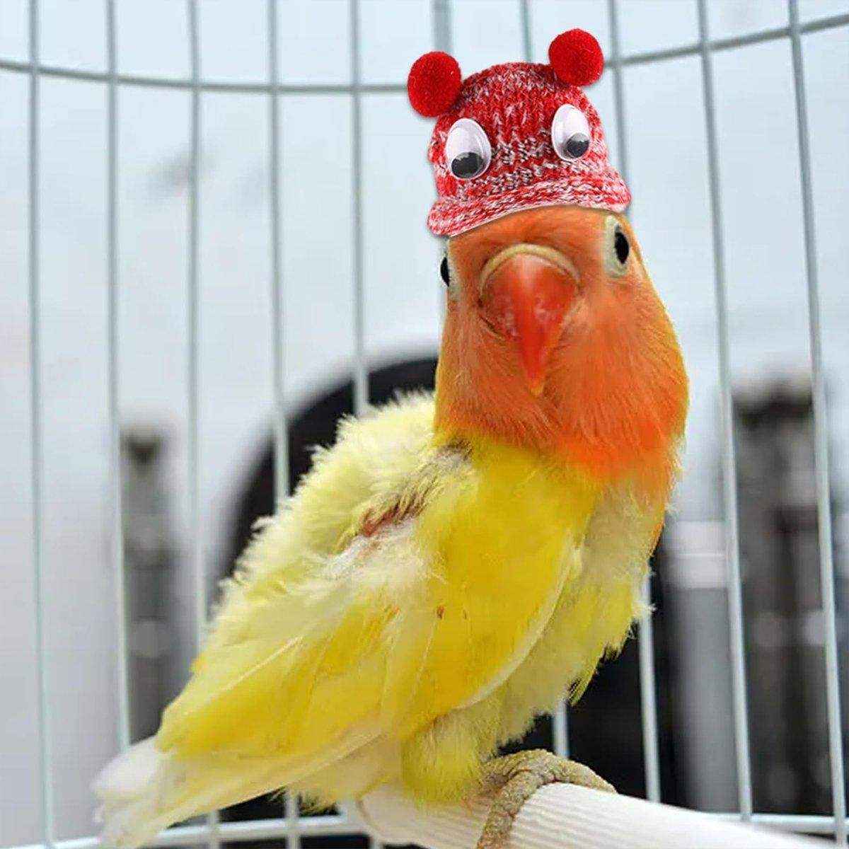 Adjustable Pet Hat for Hamsters and Guinea Pigs