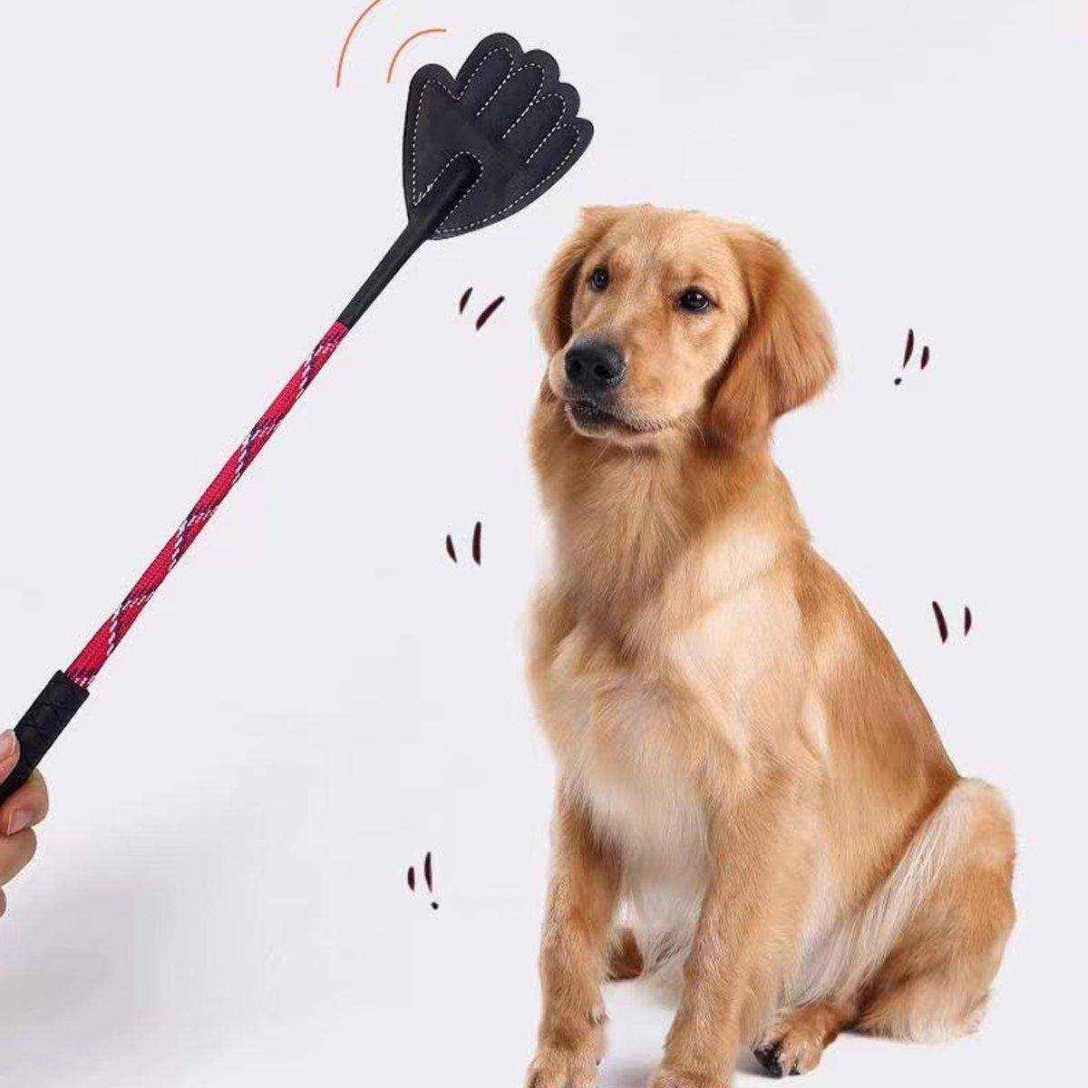 Flexible Dog Training Stick 43cm Soft Behavior Correction Tool for Pets