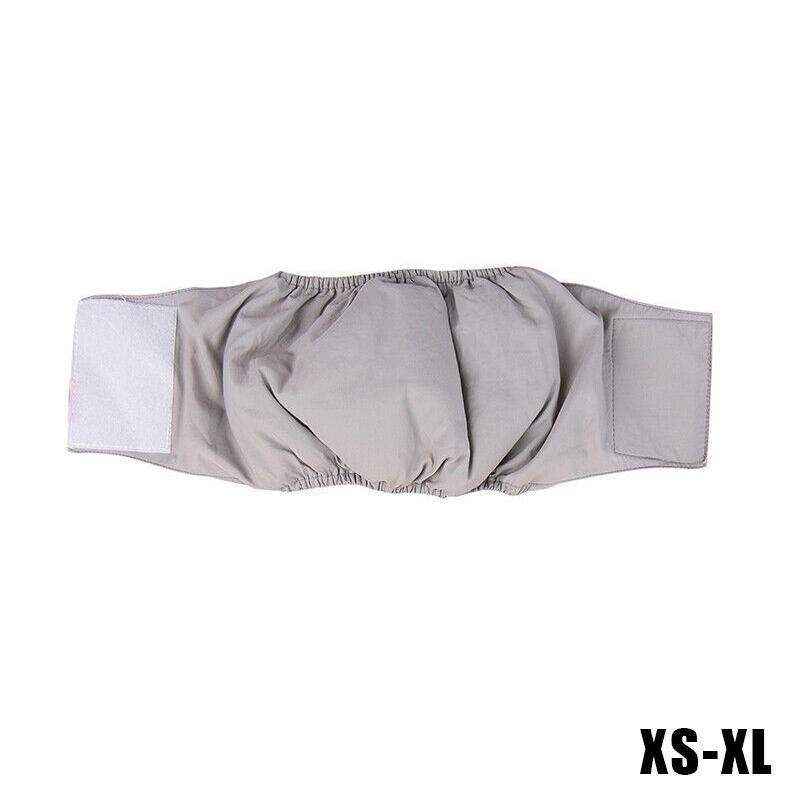 Comfortable Menstrual Pants for Dogs with Breathable Cotton Design
