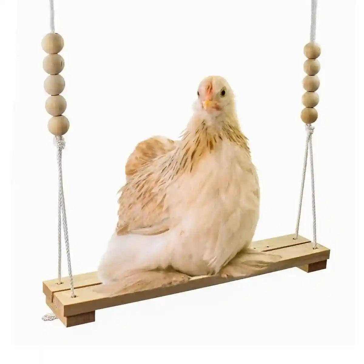 Durable Wooden Chicken Swing for Outdoor Poultry Coops