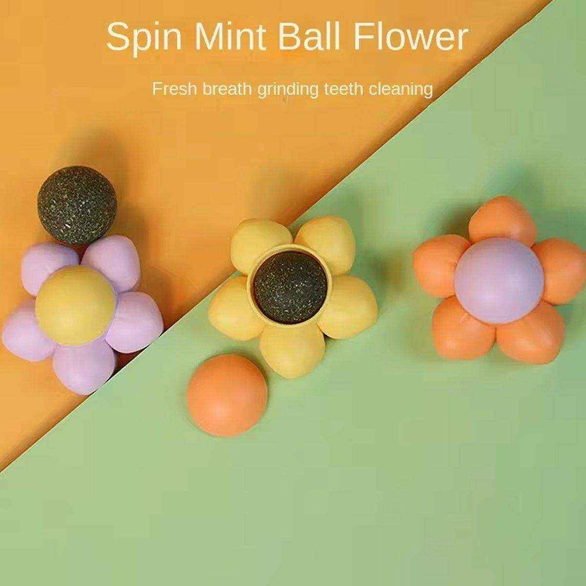 Catnip Ball Cat Toy Rotating Mint Ball Toy