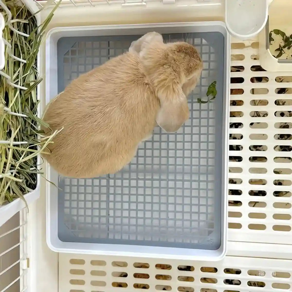 Large Rabbit Litter Box with High-Sided Design