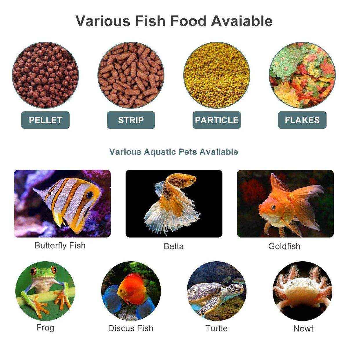 Reliable Automatic Fish Feeder for Convenient Aquarium Care