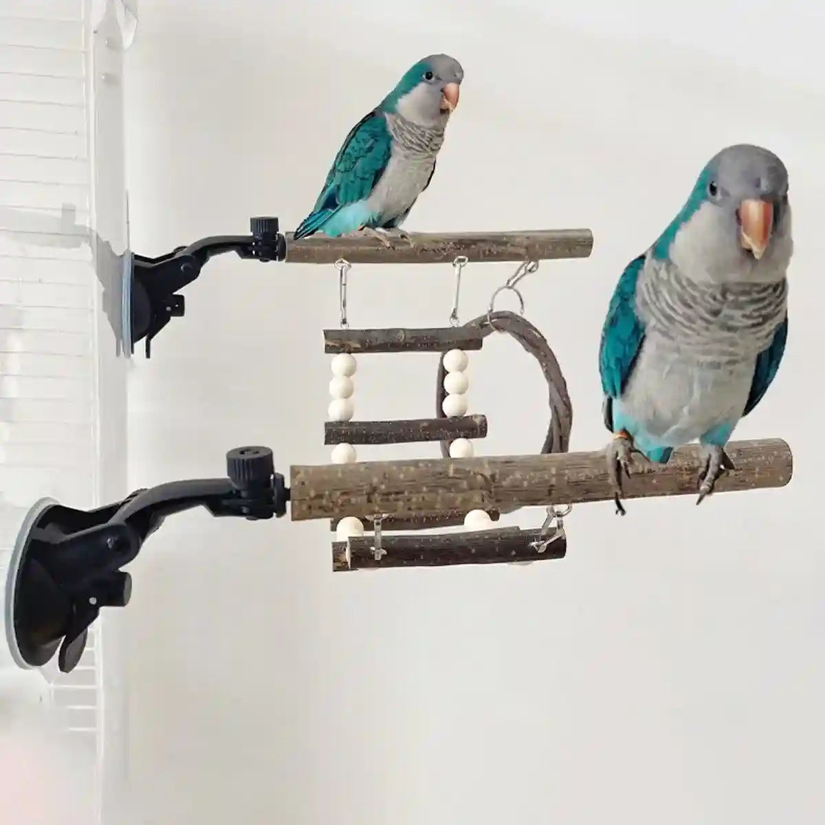 Adjustable Parrot Perch Set with Swing & Ladder Bird Cage Accessory