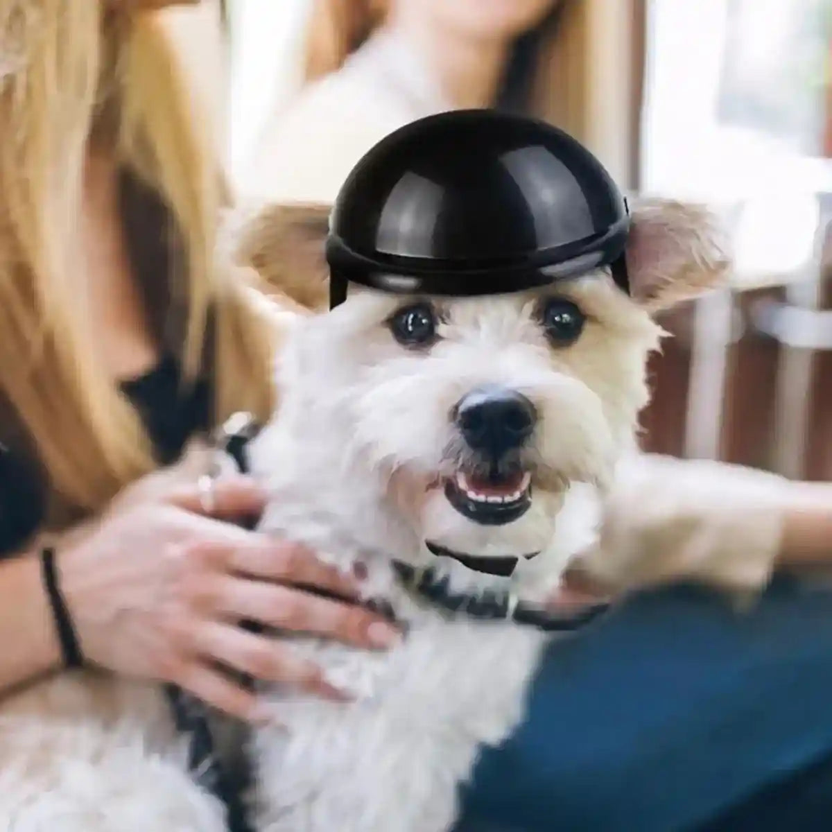 Pet Helmet New Motorcycle Helmet Dog Cat Accessories Pet Toy Hat Headwear