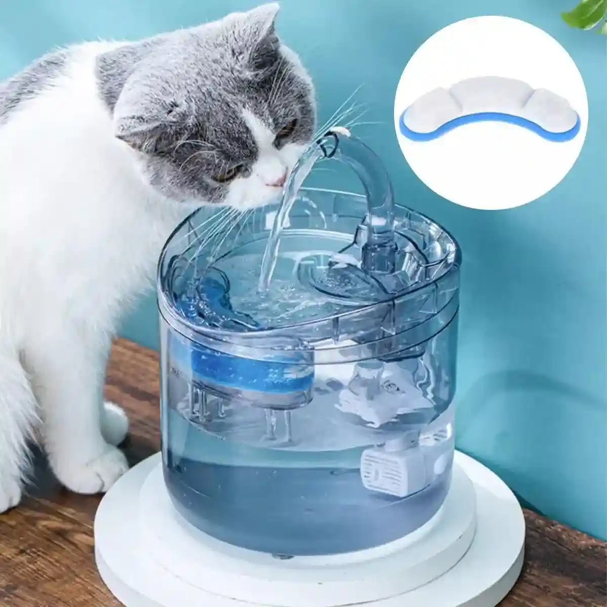 6-Pack Pet Water Dispenser Filter Replacement Advanced Multi-Layer Filtration