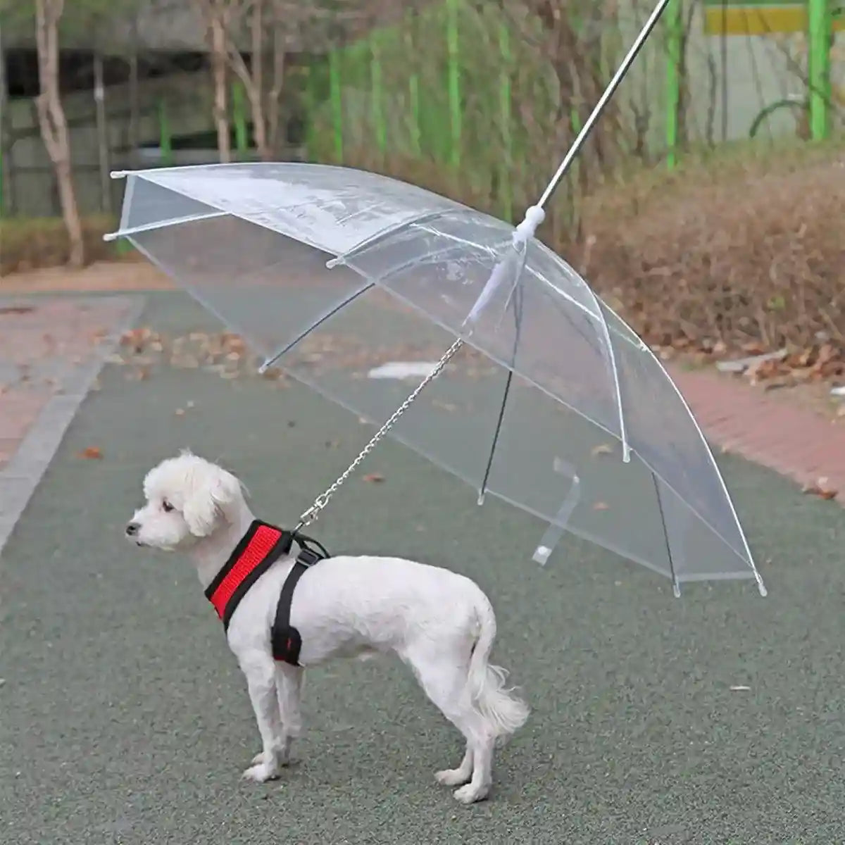Pet Umbrella with Leash Attachment Keep Your Dog Dry in Style