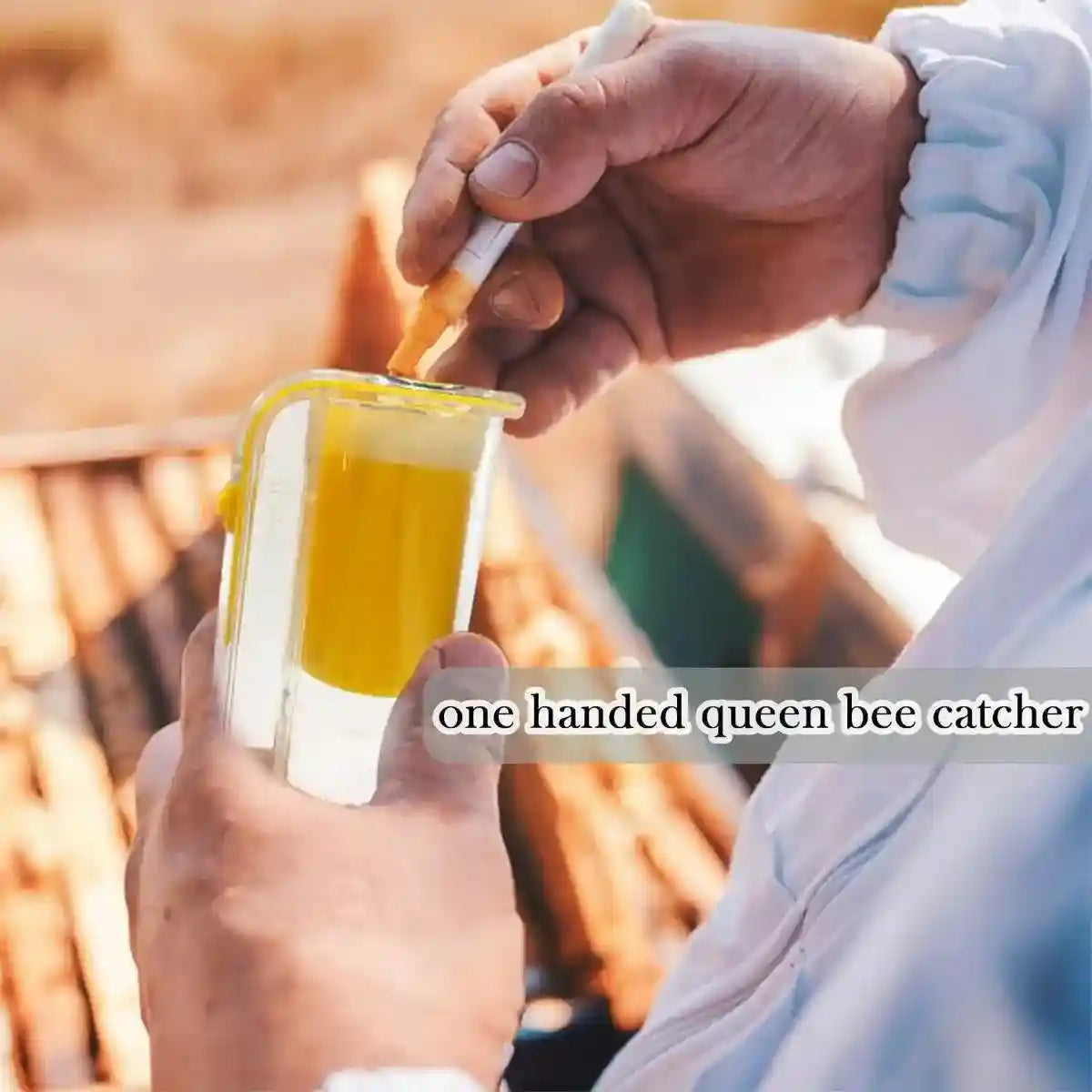 Queen Bee Marker Bottle Durable Beekeeping Tool for Safe Marking