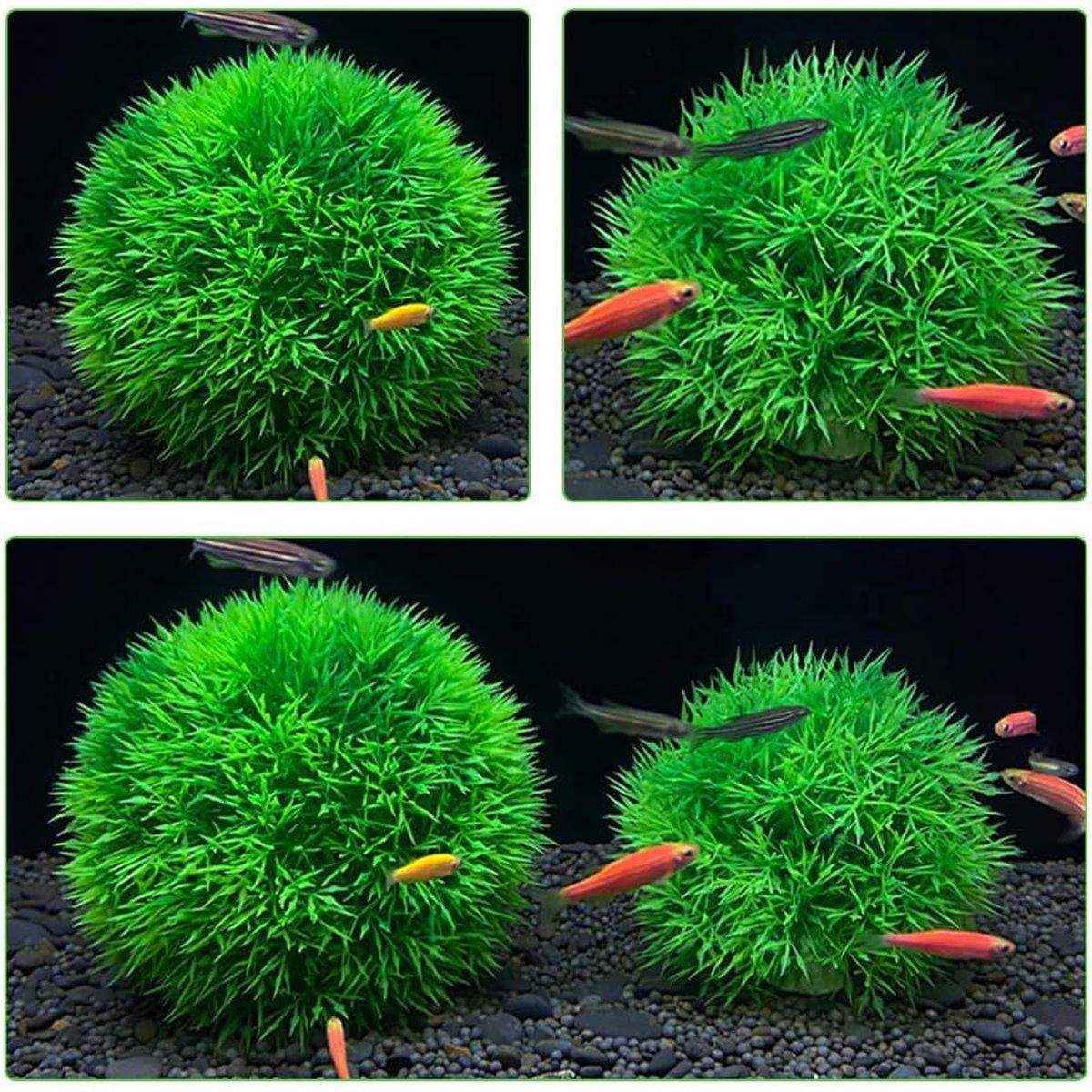 Artificial Aquarium Plants Lifelike Artificial Aquarium Grass Balls