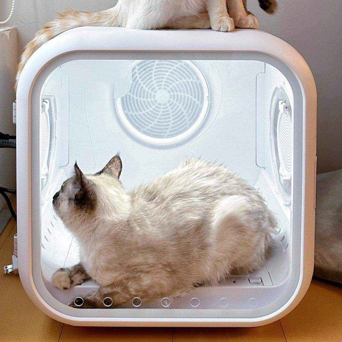 62L Smart Pet Hair Dryer Box - Automatic Dryer for Cats and Small Pets