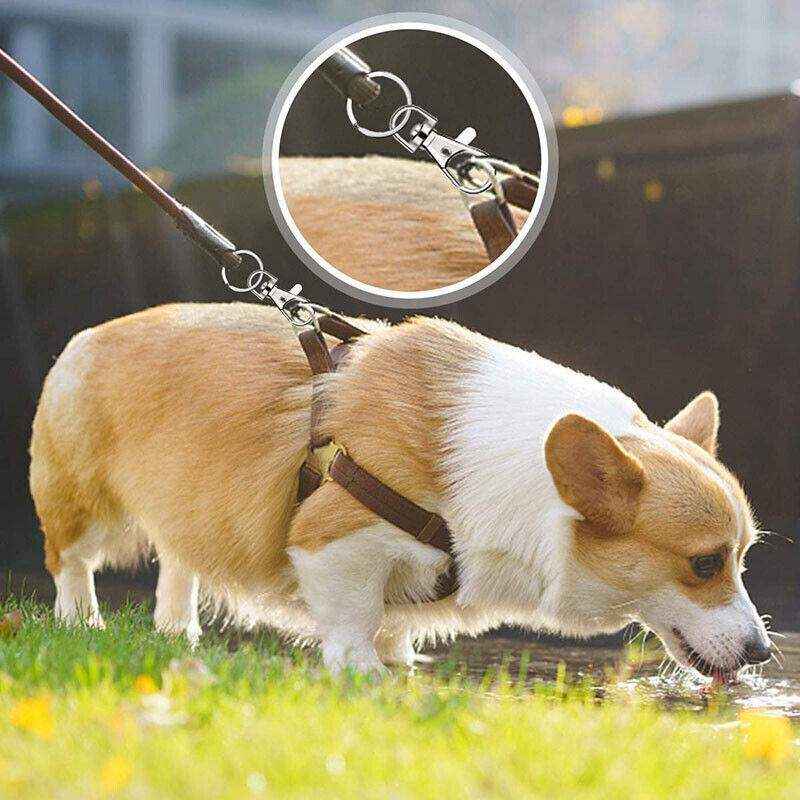 Stainless Steel Keychain Rings Durable DIY Clasps (102PCS Set)