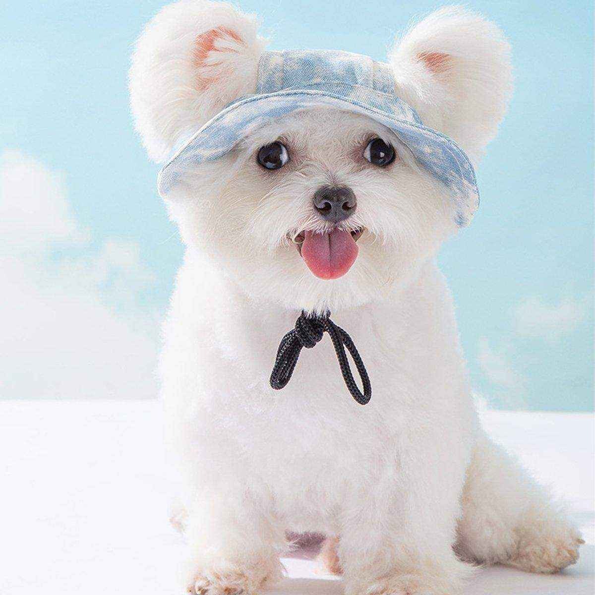 Pet Hat Cute Leaky Ears Anti-shedding Adjustable Fisherman Hat