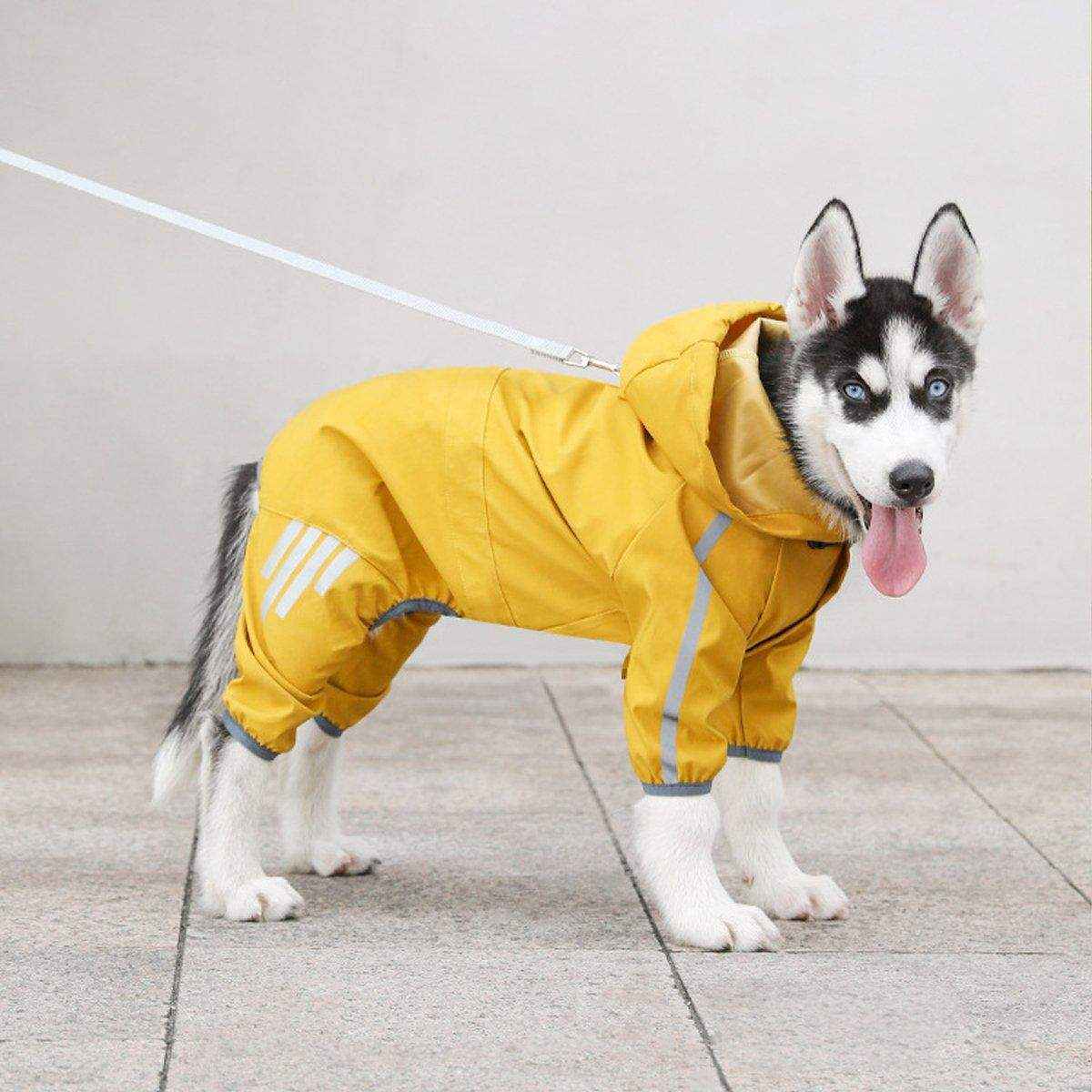 Waterproof Dog Raincoat for Small Medium Dogs