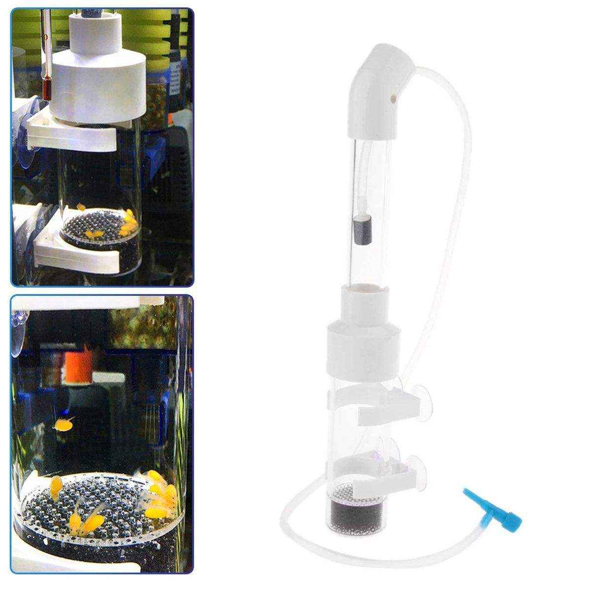Transparent Aquarium Fish Breeding Box with Versatile Features