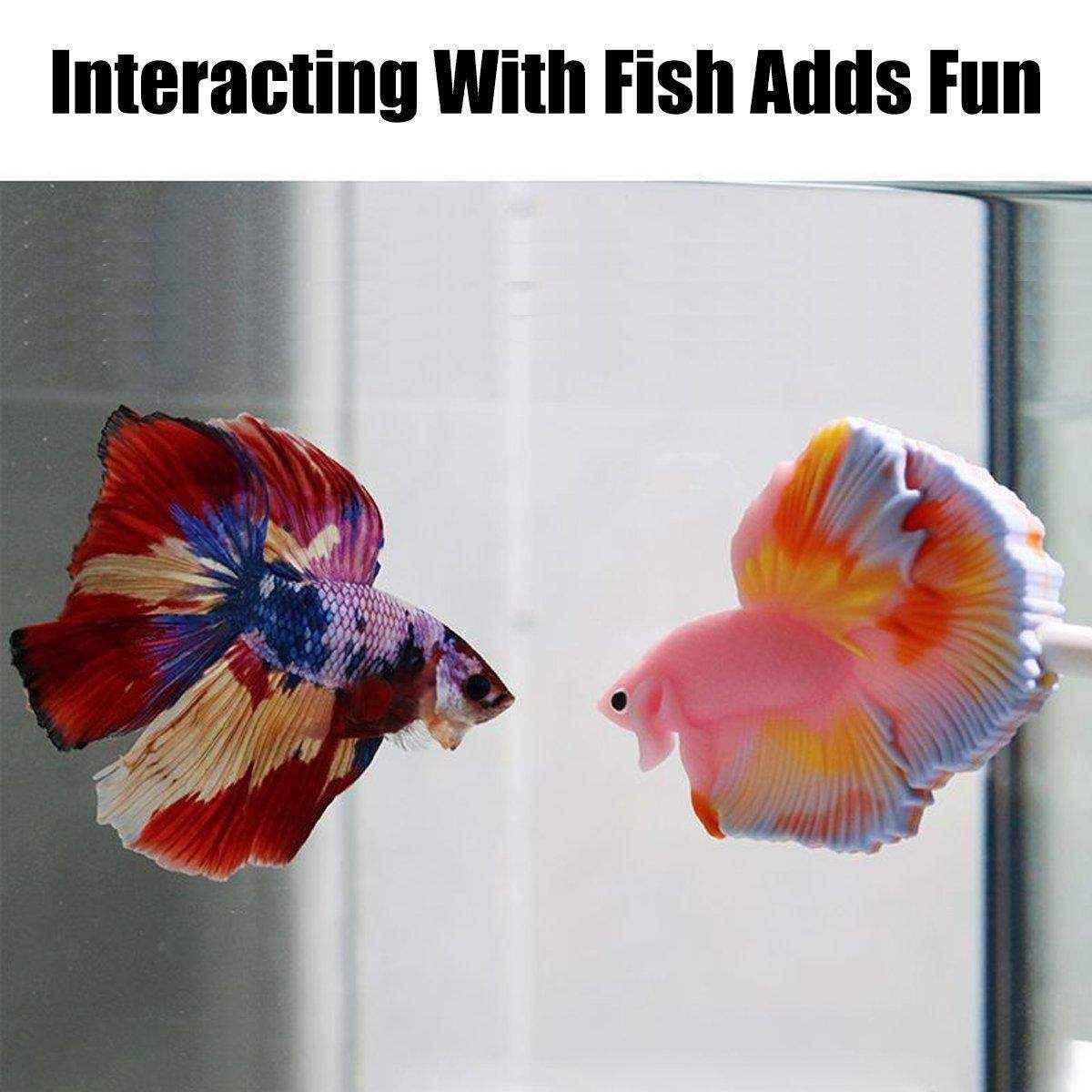 Fish Stick Training Pen Fish Interactive Toy