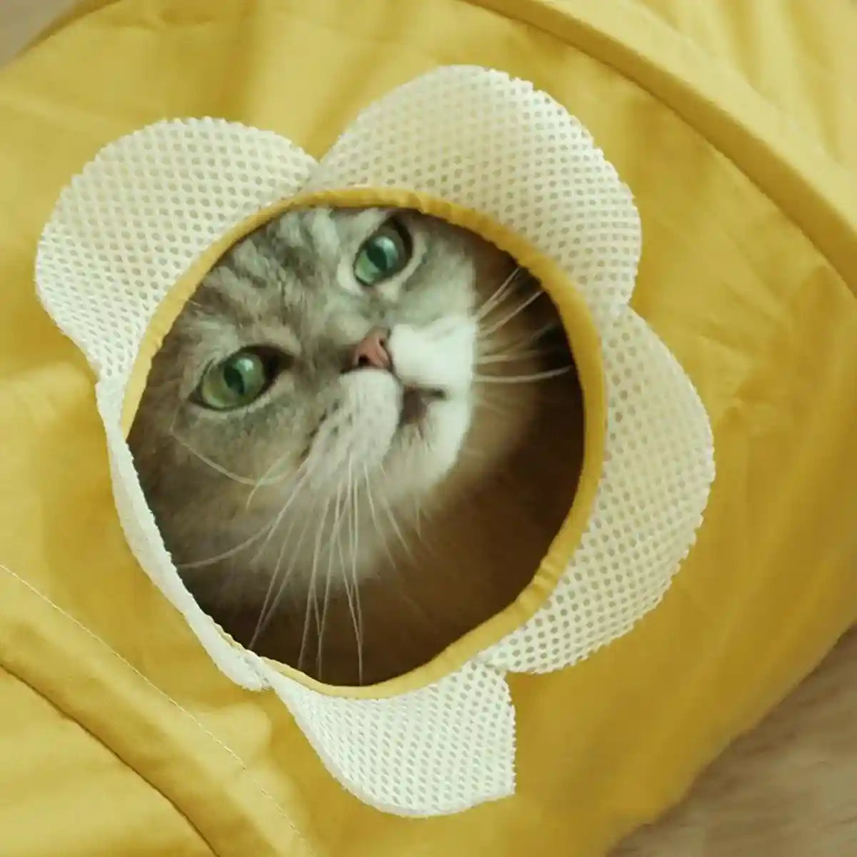 Spiral Folding Cat Play Tunnel Cooling Fabric Tunnel for Cats