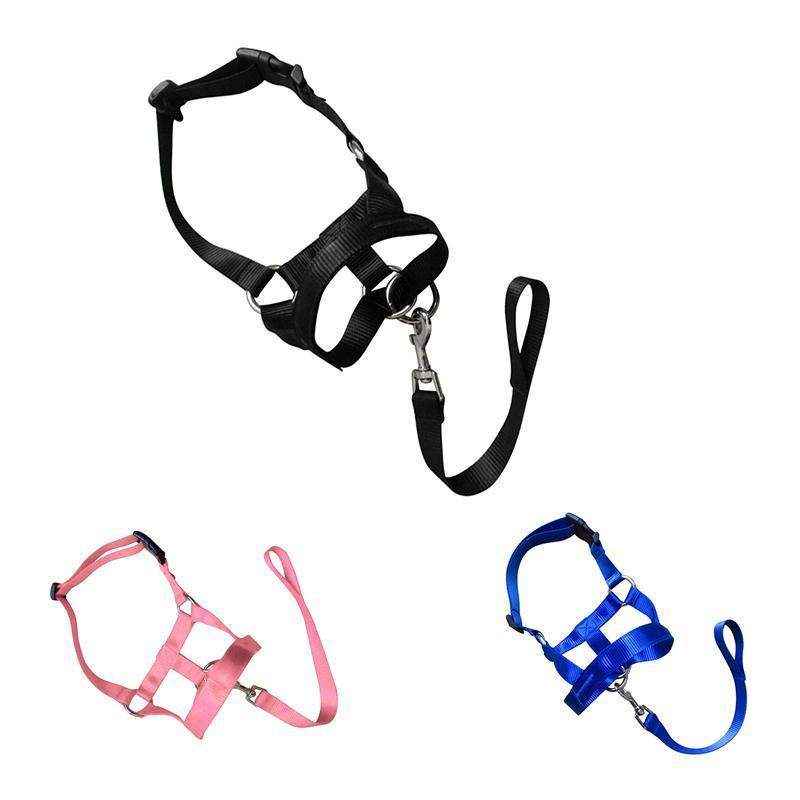 Adjustable Dog Muzzle Head Halter for Anti-Pull Training & Control