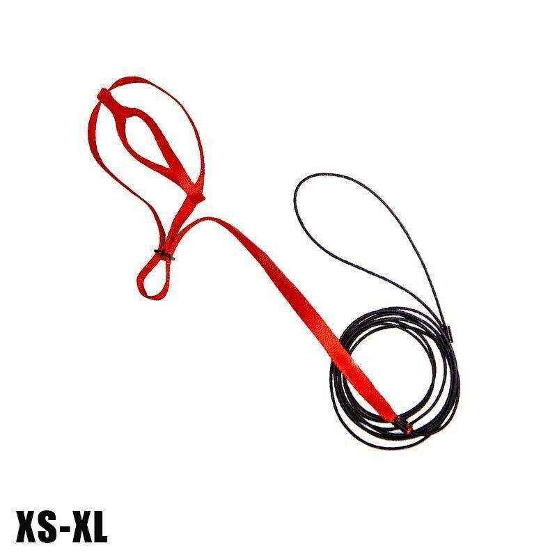 Outdoor Parrot Harness with Adjustable Bird Leash for Safe Flying