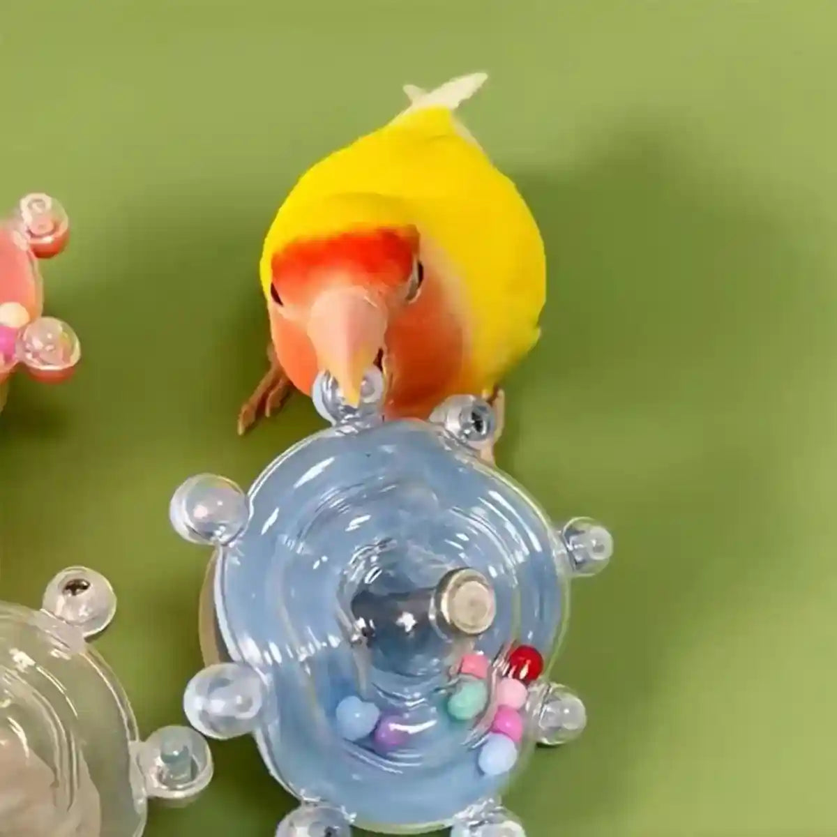 Colorful Rotating Bird Cage Toy Interactive Chewing Toy with Sound for Parrots