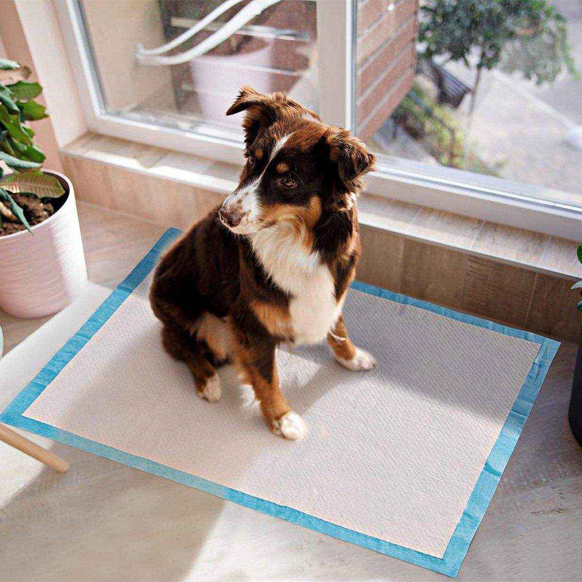 Large Puppy Dog Training Pee Pads