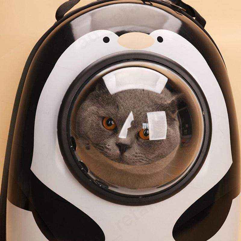 Transparent Pet Bubble Backpack Carrier for Cats and Small Dogs