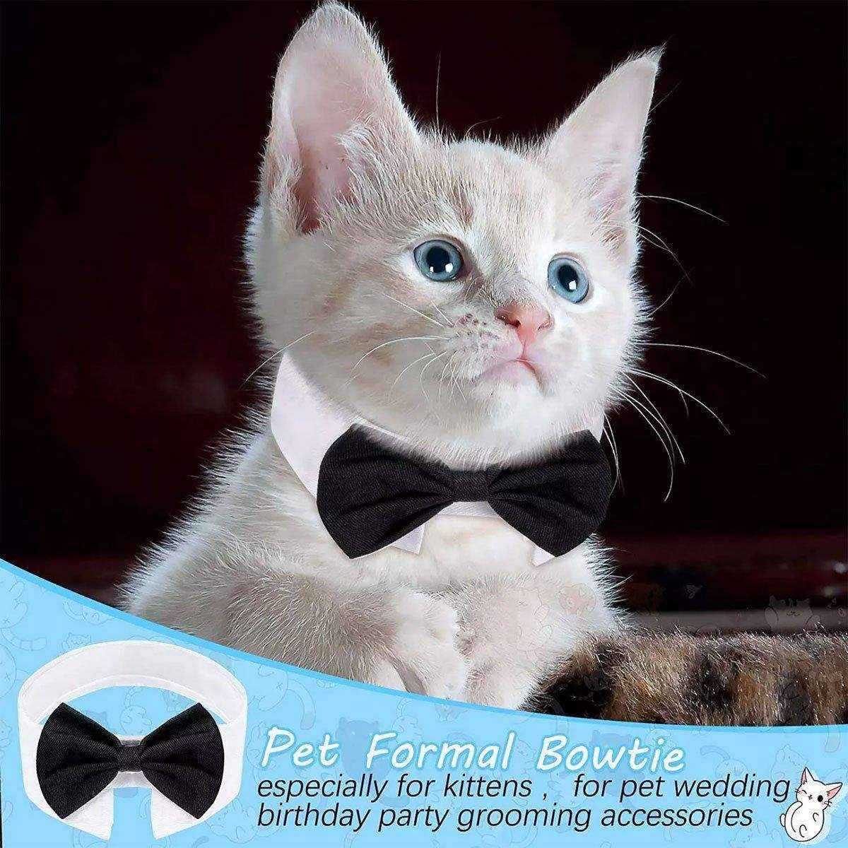 Designer Dog Collars & Designer Cat Collar Set Bow Tie and Necktie Design