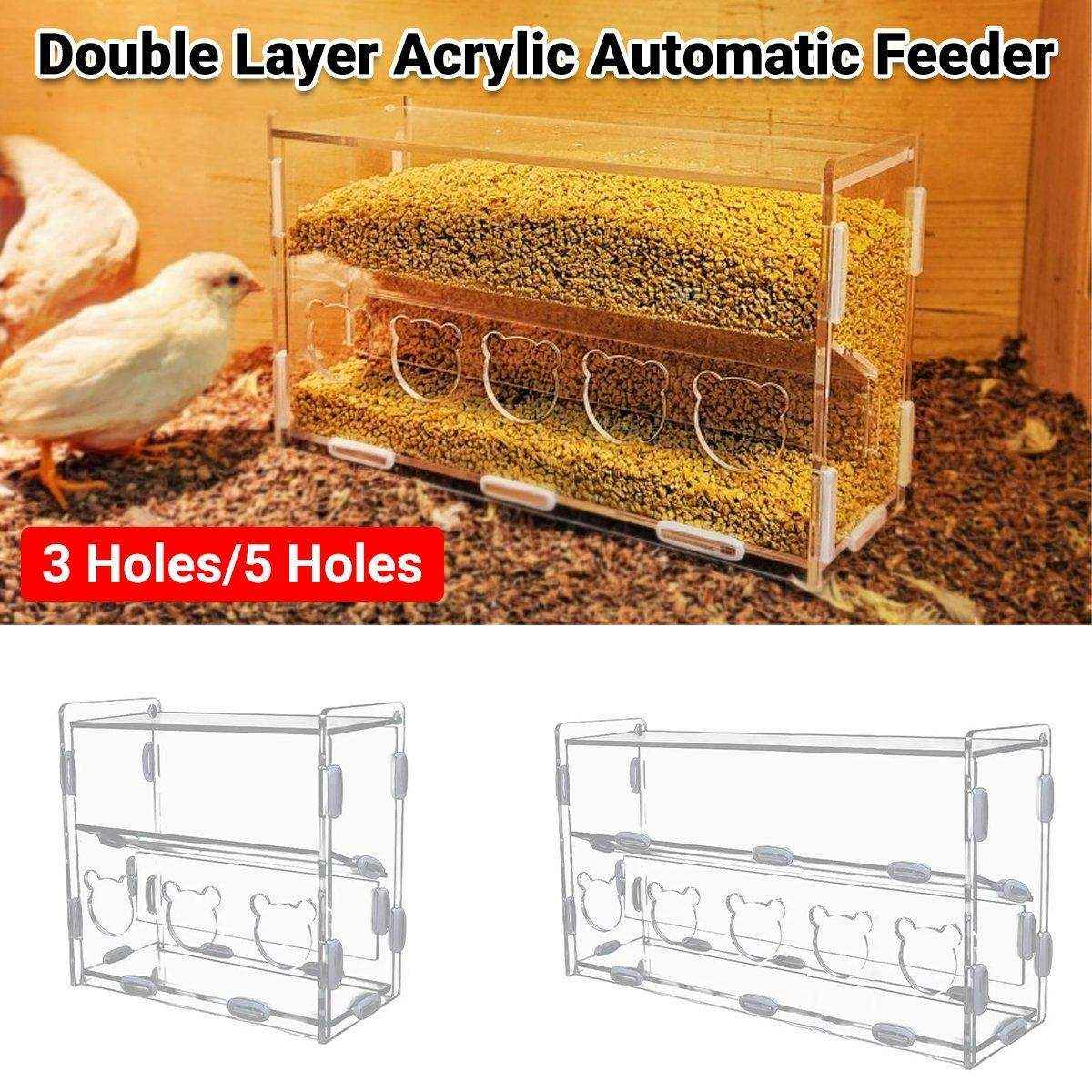 Automatic Acrylic Chicken Feeder Rutin Pet Supplies for Poultry Feeding System
