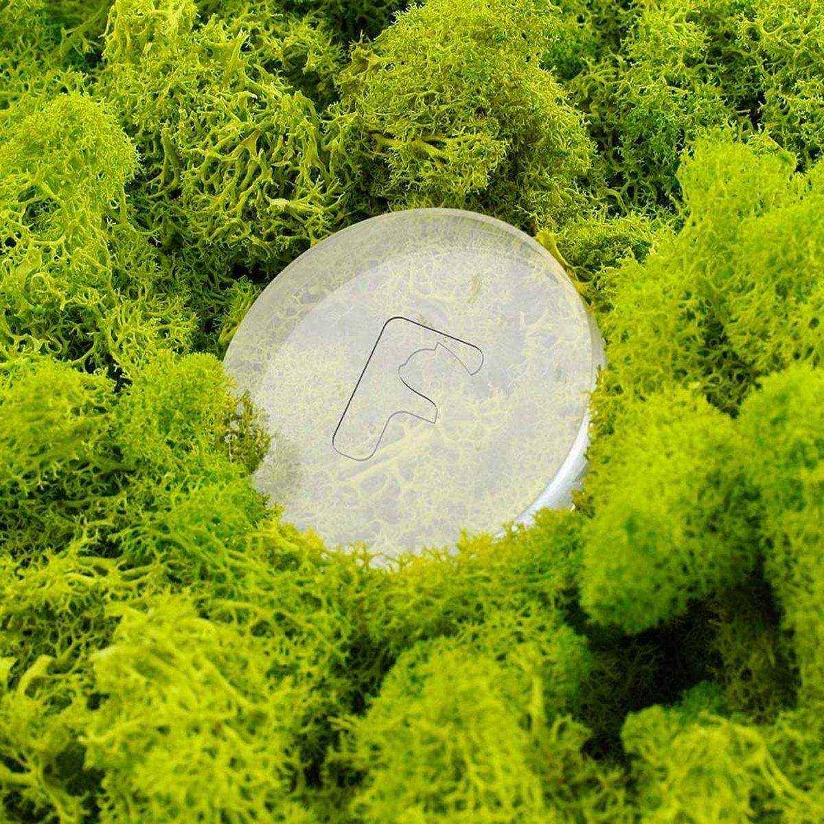 Furbulous 3 Piece Deodorant Bar Pet Odor Eliminator Natural and Long-Lasting Freshness