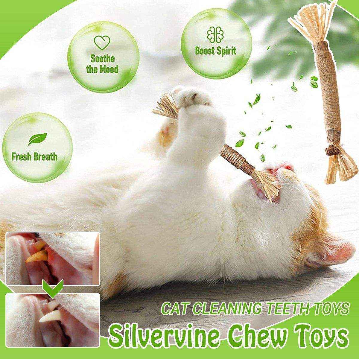 Cat Dental Health Silvervine Sticks Natural Chew Toy